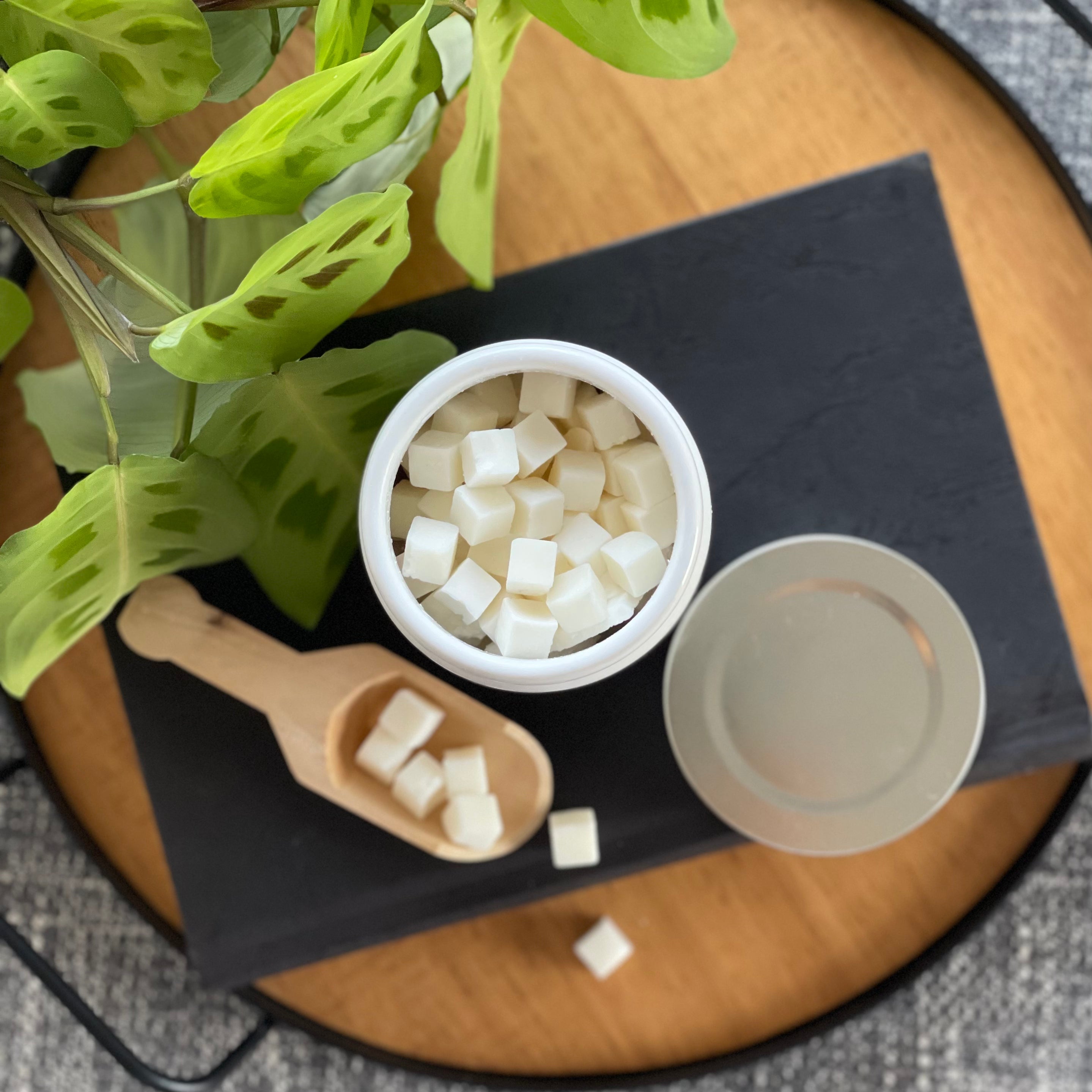 Timber Wax Melt Jar